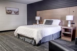מיטה או מיטות בחדר ב-Apollo Motel