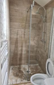a bathroom with a shower and a toilet at PETIT GÎTE 18 ème tout confort in Saint-Germain-des-Fossés