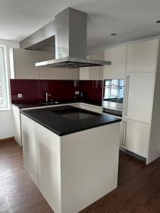 Kuchyň nebo kuchyňský kout v ubytování Hotel WALZ