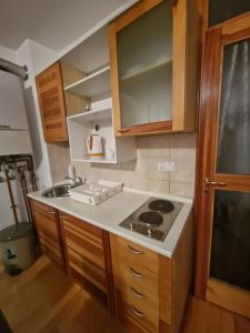 a kitchen with a sink and a stove in it at BJELAŠNICA BEX APARTMANI 
