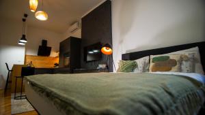 a bedroom with a bed and a desk and a television at New Green Studio Apartment near Tvrđa in Osijek