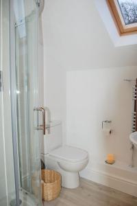 uma casa de banho com um WC e uma cabina de duche em vidro. em Anneddle Cottage in Talybont, near Barmouth em Talybont