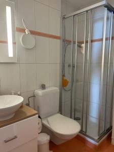 ein Bad mit einer Dusche, einem WC und einem Waschbecken in der Unterkunft Apartmenthaus Majesta in Leukerbad