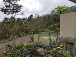 a view of a river from a house at Hostería cabañas del pescador in San Jacinto