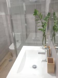 ラスパルマス・デ・グランカナリアにあるCasa Colonial Veguetaのバスルーム(白い洗面台、トイレ付)