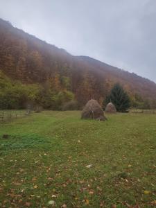 two hay huts in a field with a mountain at Cabana Good Vibes in Cluj-Napoca