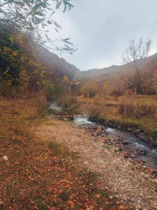 a river in the middle of a field at Cabana Good Vibes in Cluj-Napoca