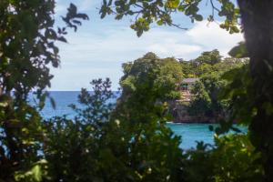 Frenchman's Cove Resort في بورت أنطونيو: منزل على جزيرة صخرية في المحيط