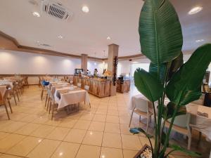 a restaurant with tables and chairs and a plant at Hotel Butterfly Wellness & Spa in Rimini