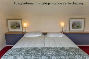 een slaapkamer met een bed met 2 kussens bij Appartementen Vouwere in Mechelen