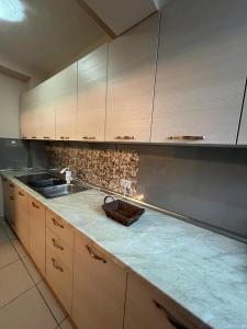 - une cuisine avec un évier et un comptoir dans l'établissement Entire nice apartment, in the center, à Tirana