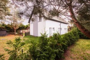 a white house in a yard with trees at apartamenty-domy in Lubiatowo