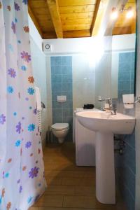 een badkamer met een wastafel en een toilet bij Le case del Carmine con giardino e parcheggio a Tropea in Tropea