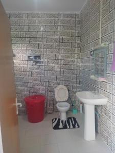 La salle de bains est pourvue de toilettes et d'un lavabo. dans l'établissement Le Jasmin Mamoudzou, à Mamoudzou