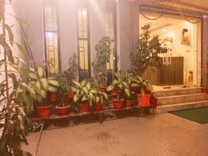 a bunch of potted plants sitting in a lobby at Hotel Castle in Bhairāhawā