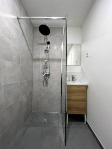 ein Bad mit einer Dusche und einem Waschbecken in der Unterkunft iota - studio 2 pers / centre - proche hôpital in Montereau-faut-Yonne