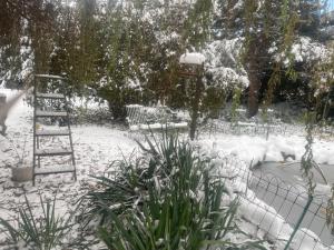 een tuin bedekt met sneeuw met een ladder en planten bij Harzhotel Warnstedter Krug in Thale