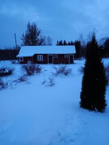 Foto dalla galleria di Beekeepers House a Ruovesi
