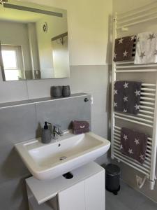 een badkamer met een wastafel, een spiegel en handdoeken bij Work and Stay Erlensee in Erlensee