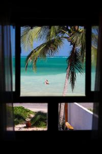 una ventana con vistas a una playa con palmeras en Pousada Rota Ecológica en Pôrto de Pedras