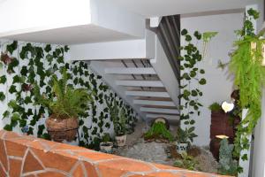 Una escalera con plantas en macetas en la pared. en GURUS FR | Cómodo Edificio Casa Confort en Providencia, en Pereira
