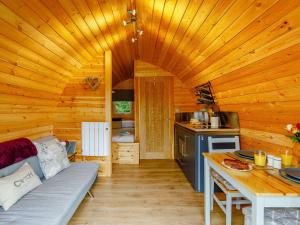 a kitchen with a couch in a wooden cabin at 1 Bed in Llandrindod Wells 88204 in Llandegley