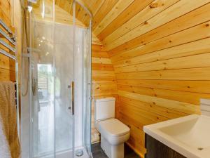 a wooden bathroom with a toilet and a shower at 1 Bed in Llandrindod Wells 88204 in Llandegley