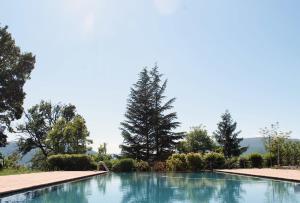 a large swimming pool with trees in the background at Agriturismo Il Casale Degli Amici in Norcia