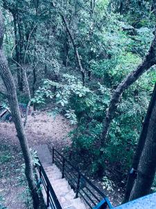um parque com um banco no meio de uma floresta em Forest Villa em Sigiriya