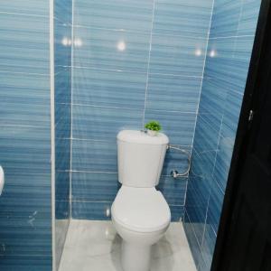 uma casa de banho com um WC com uma planta no tanque em Qamar's guests 4 em Al Hoceïma