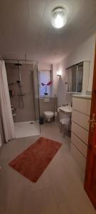 a bathroom with a shower and a toilet and a sink at Ferienwohnung an der Lahn in Limburg an der Lahn