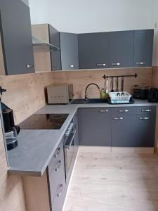 a kitchen with gray cabinets and a sink at Zentral und ruhig in Auerbach in Auerbach