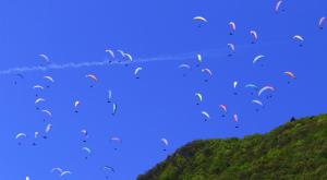 um grupo de aves voando no céu em Gîte le Chamoyard em Chamoux-sur-Gelon