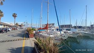 a bunch of boats docked in a marina at Wonderful boat for families and friends in Barcelona