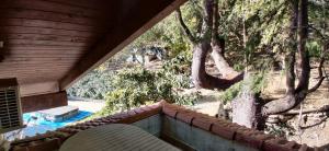 eine Veranda mit Blick auf den Pool und die Bäume in der Unterkunft La Liguria tra gli Ulivi 2 in Varraze
