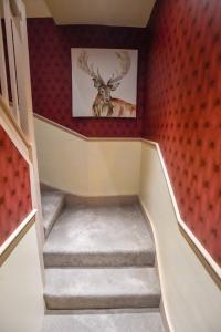 a room with a staircase with a deer head on the wall at the kingsbury 7even 8ight in Marlborough