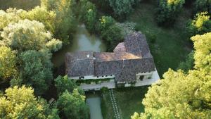Príroda v okolí of the country house