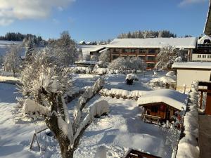 un patio cubierto de nieve con un edificio y un árbol en Ferienwohnung Lindenhof en Lenzkirch