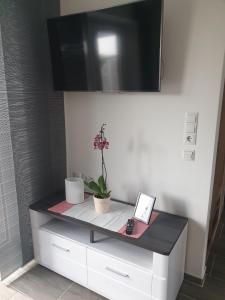 a table with a laptop and a plant on it at Ferienwohnung Völkner in Hamdorf