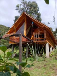 Zahrada ubytování Glamping El Ocaso