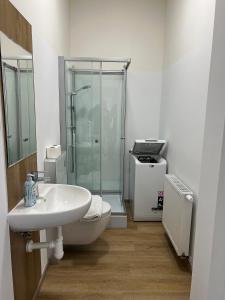 a bathroom with a shower and a sink and a toilet at Holiday home Prague in Prague