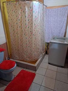 a bathroom with a shower with a toilet and a red rug at Cabaña huenuco rural castro in Castro