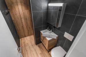 a small bathroom with a toilet and a sink at Appartement rénové avec vue panoramique et sauna in Saas-Fee +26 photos