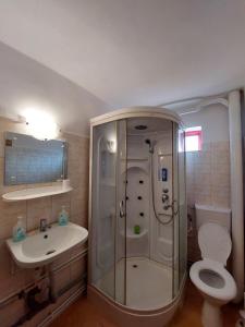 een badkamer met een douche, een toilet en een wastafel bij Casa Auraș 