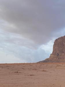 a view of the desert with a mountain in the background at Desert Gate Camp in Wadi Rum