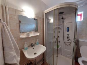 een kleine badkamer met een wastafel en een douche bij Casa Auraș 