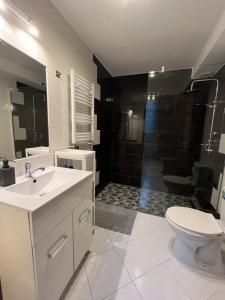 een badkamer met een wastafel, een toilet en een douche bij Fancy home Budapest in Boedapest