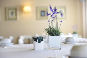a vase with purple flowers in it on a counter at Hotel Apartamento Solverde in Espinho