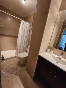 a bathroom with a toilet and a sink and a shower at Apartamento Camino Al Volcan in Pucón