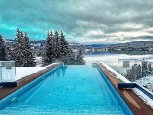 a swimming pool with snow covered trees and a lake at Hotel Roser House Boutique - pe malul lacului Colibita in Colibiţa